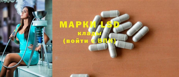 ГАЛЛЮЦИНОГЕННЫЕ ГРИБЫ Алзамай