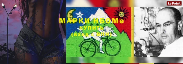 ГАЛЛЮЦИНОГЕННЫЕ ГРИБЫ Алзамай