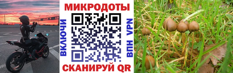 Псилоцибиновые грибы Psilocybine cubensis Орехово-Зуево